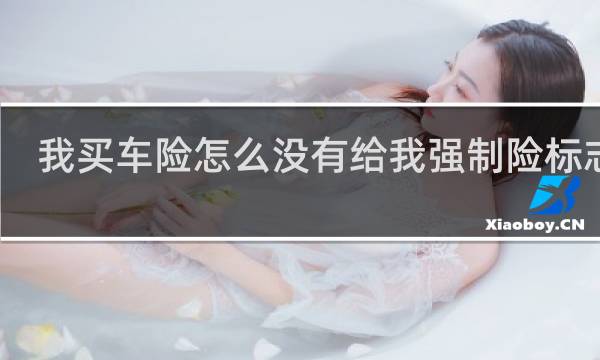 我买车险怎么没有给我强制险标志啊