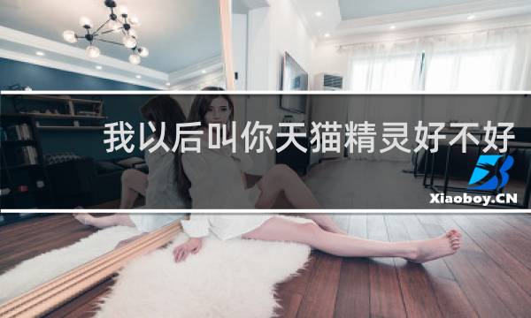 我以后叫你天猫精灵好不好
