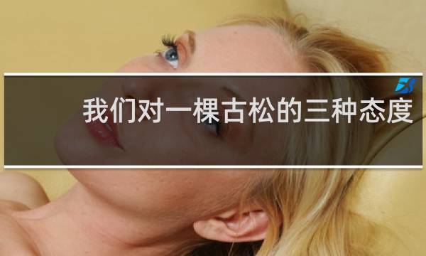 我们对一棵古松的三种态度