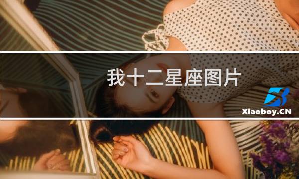 我十二星座图片