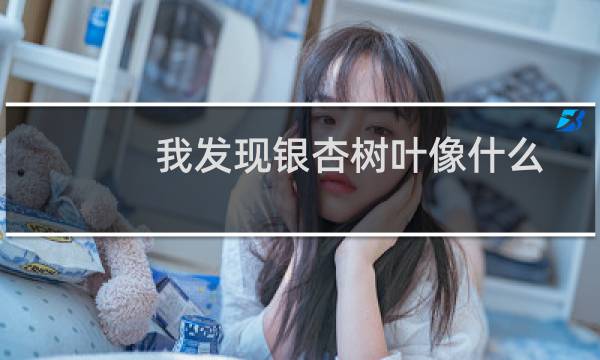我发现银杏树叶像什么
