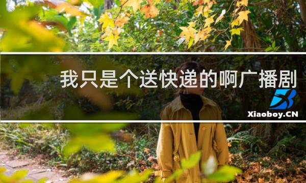 我只是个送快递的啊广播剧