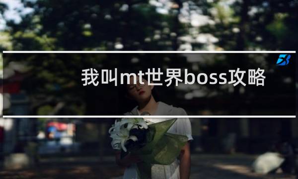 我叫mt世界boss攻略