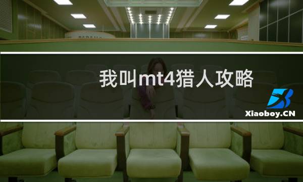 我叫mt4猎人攻略