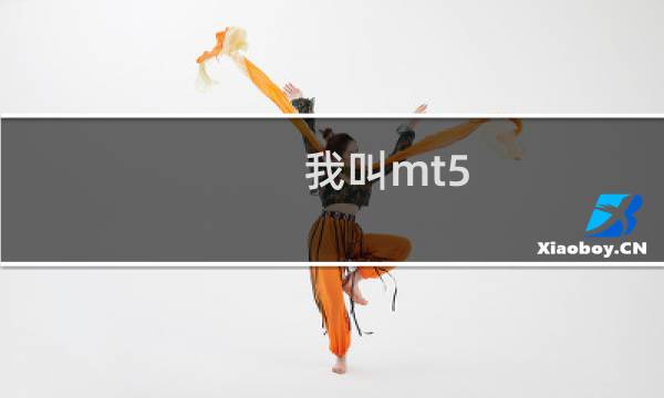 我叫mt5.1攻略