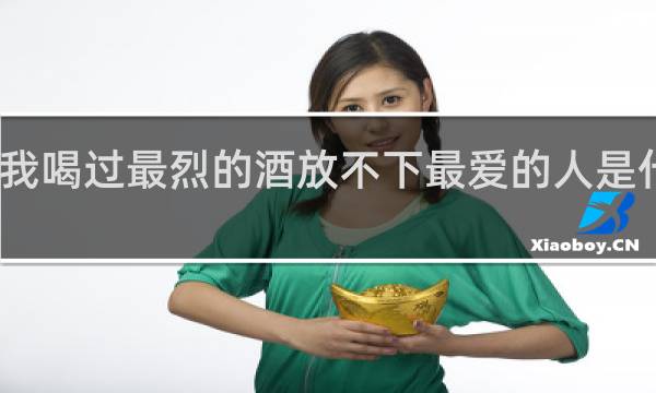 我喝过最烈的酒放不下最爱的人是什么歌