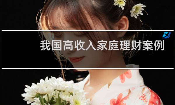我国高收入家庭理财案例