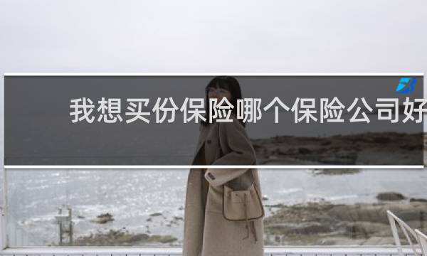 我想买份保险哪个保险公司好