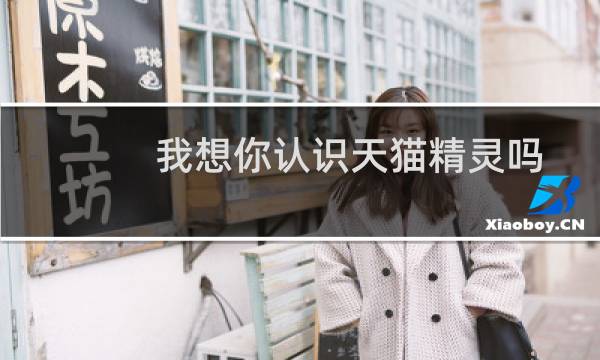 我想你认识天猫精灵吗