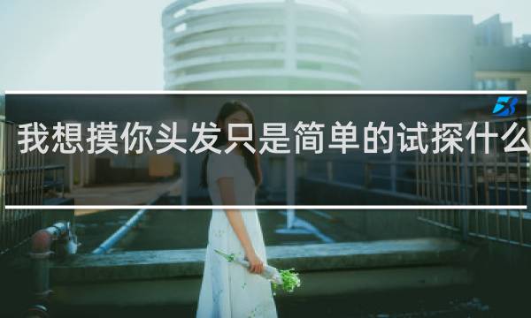 我想摸你头发只是简单的试探什么类型