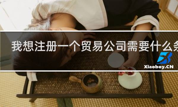 我想注册一个贸易公司需要什么条件