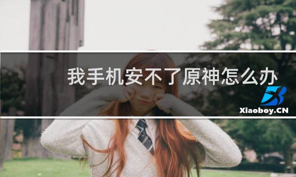 我手机安不了原神怎么办