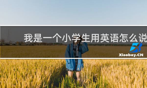 我是一个小学生用英语怎么说