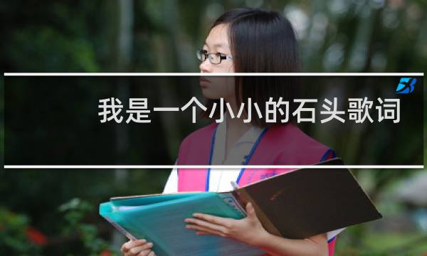 我是一个小小的石头歌词
