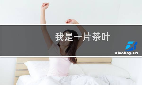 我是一片茶叶