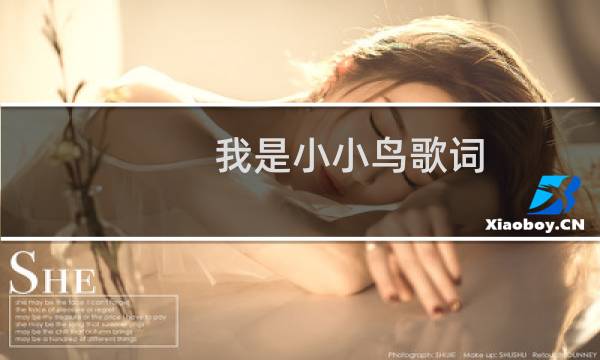 我是小小鸟歌词