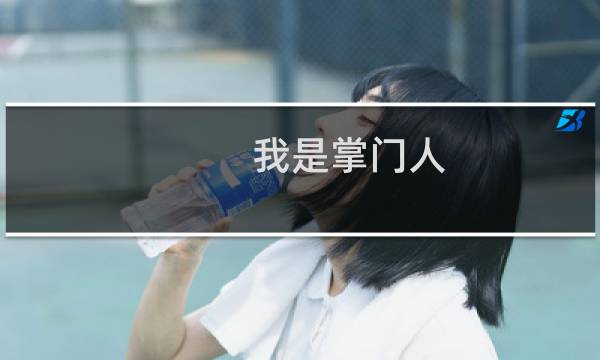 我是掌门人 攻略