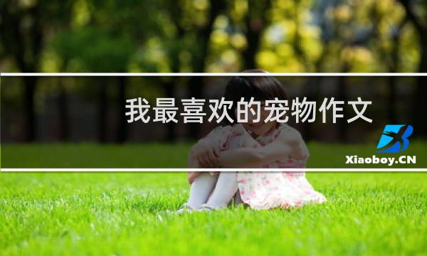我最喜欢的宠物作文