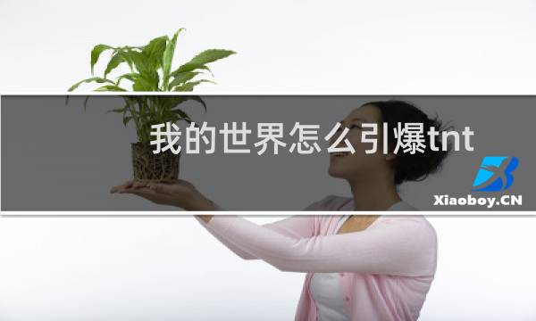 我的世界怎么引爆tnt