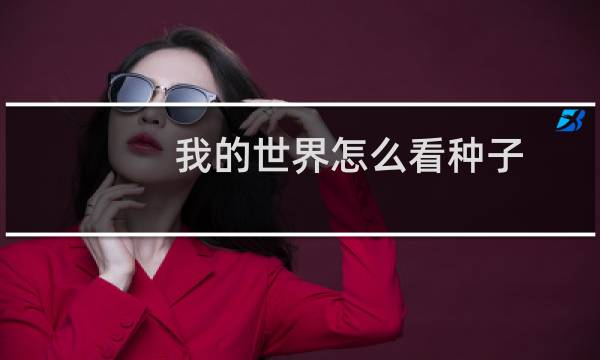 我的世界怎么看种子