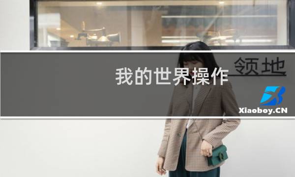 我的世界操作
