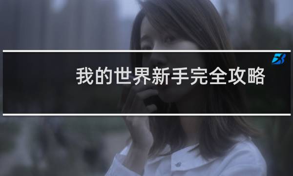 我的世界新手完全攻略