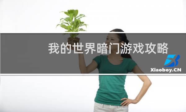 我的世界暗门游戏攻略