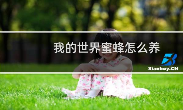 我的世界蜜蜂怎么养