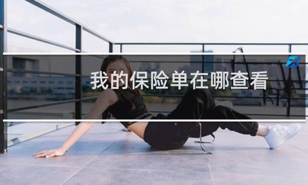 我的保险单在哪查看