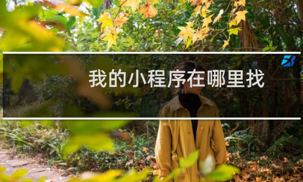 我的小程序在哪里找
