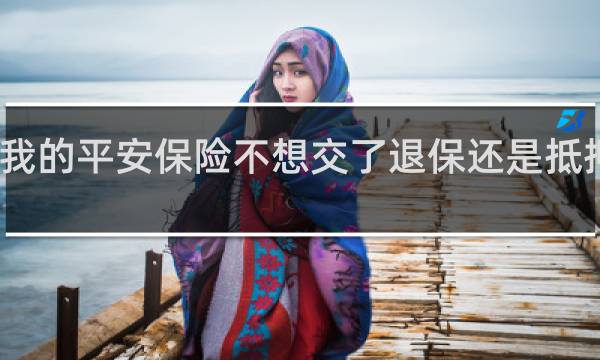 我的平安保险不想交了退保还是抵押贷款