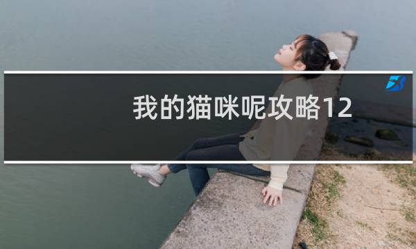 我的猫咪呢攻略12