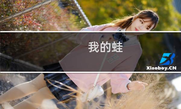 我的蛙 攻略