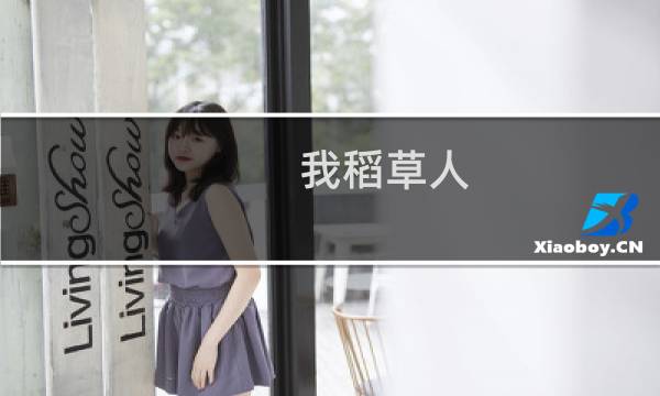我稻草人