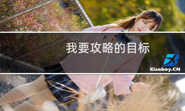我要攻略的目标