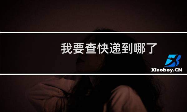 我要查快递到哪了