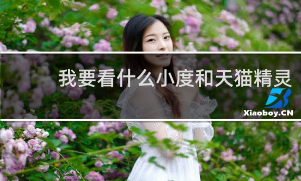 我要看什么小度和天猫精灵