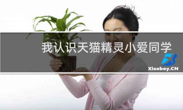 我认识天猫精灵小爱同学