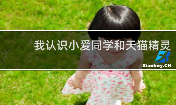 我认识小爱同学和天猫精灵
