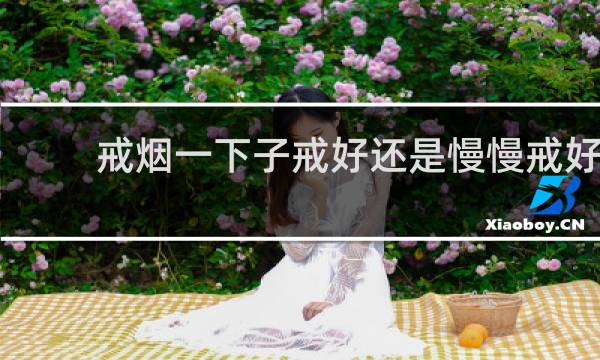 戒烟一下子戒好还是慢慢戒好