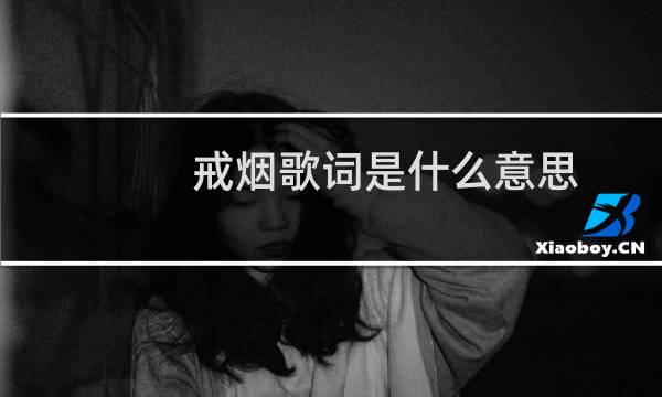 戒烟歌词是什么意思