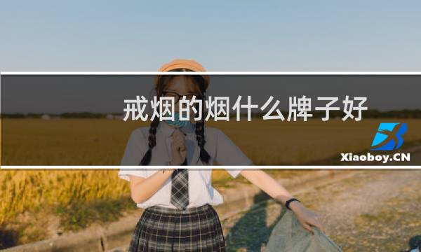 戒烟的烟什么牌子好