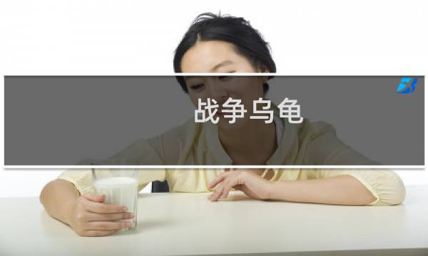 战争乌龟 新手攻略