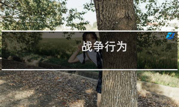 战争行为 攻略