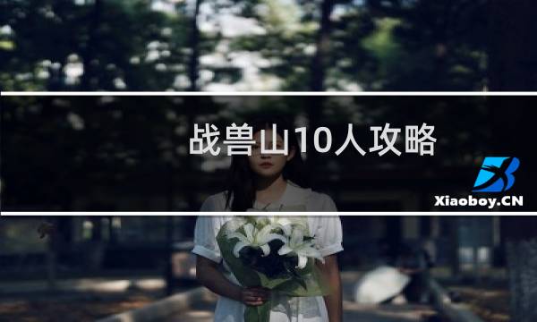 战兽山10人攻略