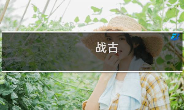 战古 价格是多少