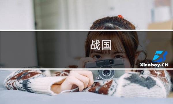 战国 巅峰  攻略