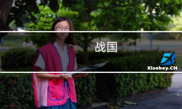 战国 巅峰 攻略