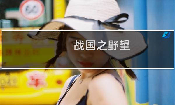 战国之野望 攻略