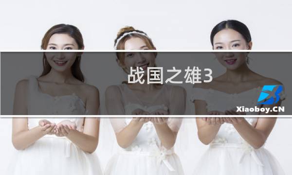 战国之雄3 攻略